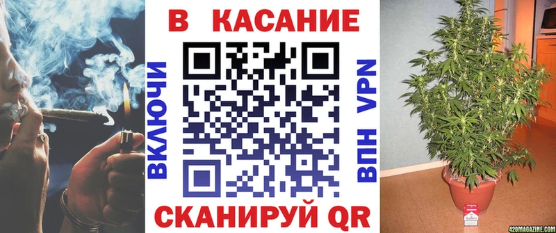 Где купить Брянск Конопля  Галлюциногенные грибы  ГАШ  COCAIN 
