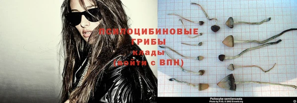 ГАЛЛЮЦИНОГЕННЫЕ ГРИБЫ Володарск