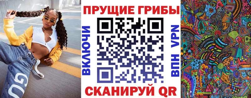 как найти закладки  Брянск  Галлюциногенные грибы Psilocybe 
